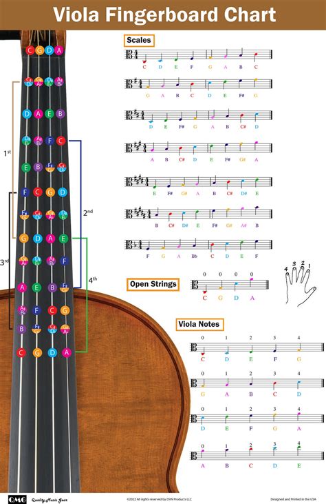 violuri|Viol .